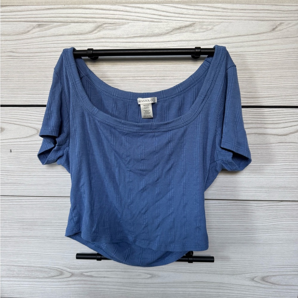 Brandy Melville Blue Crop Fitted Blouse